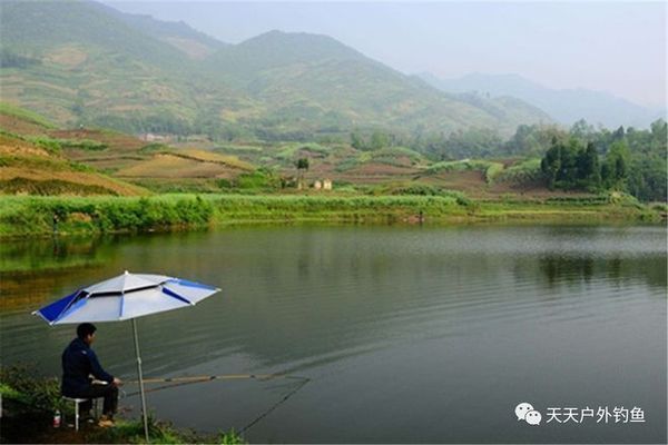 白龙鱼白龙鱼垂钓的最佳天气因季节而异，适合夏季钓鱼：白龙鱼垂钓的最佳天气