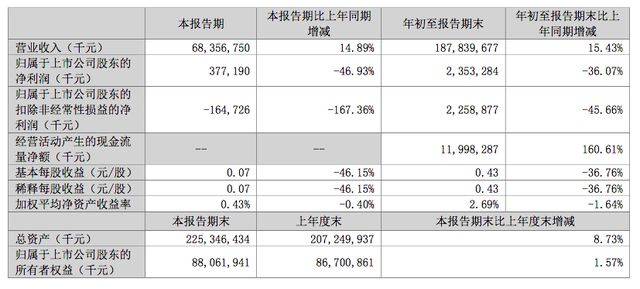 金龙鱼的养殖成本和利润取决于多种因素进行了解和准备：金龙鱼养殖成本和利润取决于多种因素 龙鱼百科 第1张