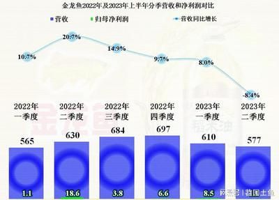 金龙鱼的养殖成本和利润取决于多种因素进行了解和准备：金龙鱼养殖成本和利润取决于多种因素