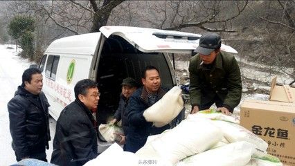 金龙鱼是一种重要的食用油品牌吗？：金龙鱼在食用油市场上具有很高的市占率 龙鱼百科 第2张