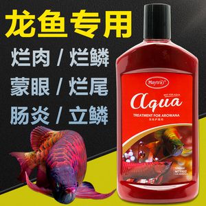 龙鱼蒙眼用什么药龙鱼蒙眼用什么药：龙鱼蒙眼怎么办