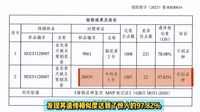 金龙鱼的进口清关流程是怎样的？：进口金龙鱼需要一系列的清关文件包括但不限于但不限于： 龙鱼百科 第1张