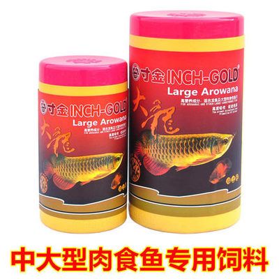 金龙鱼可以喂食饲料、虾米、虾米、虾米、活鱼等（5]）：新入缸的金龙鱼吃什么料 龙鱼百科 第3张