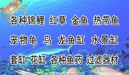 龙鱼缸过滤器材摆放方法：龙鱼缸过滤器材怎么摆放 龙鱼百科 第3张