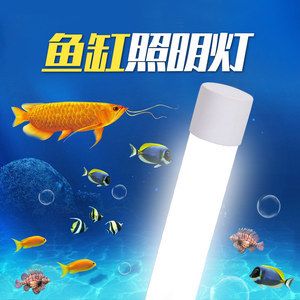 金龙鱼用蓝光好吗，：金龙鱼用蓝光好吗金龙鱼用蓝光好吗