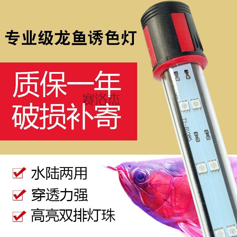 龙鱼增色用什么灯光的类型和灯光的使用方式等因素：龙鱼增色灯怎么选 龙鱼百科 第1张