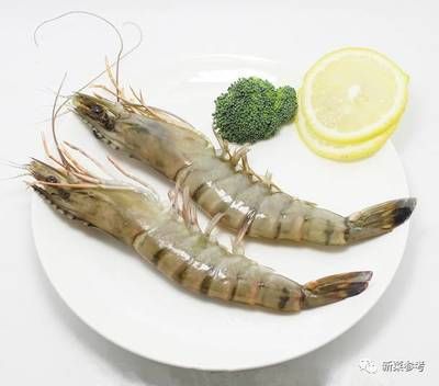 龙鱼可以喂熟虾吃吗？：喂食熟虾可能会影响龙鱼的健康风险 龙鱼百科 第3张