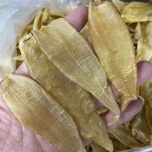 金龙鱼胶种类有哪些：金龙鱼胶的种类 龙鱼百科 第2张