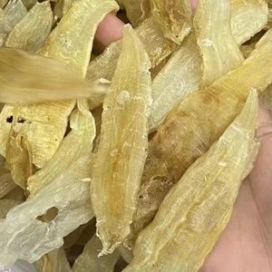 金龙鱼胶种类有哪些：金龙鱼胶的种类