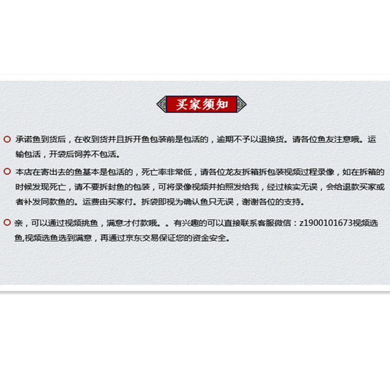 养龙鱼的微信群名称怎么取，养龙鱼微信群名称怎么取：养龙鱼的微信群名称怎么取取 龙鱼百科