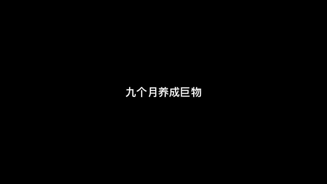 金鸡畅天下评论：现在大概有多大的：九个月，金鸡畅天下 观赏鱼论坛