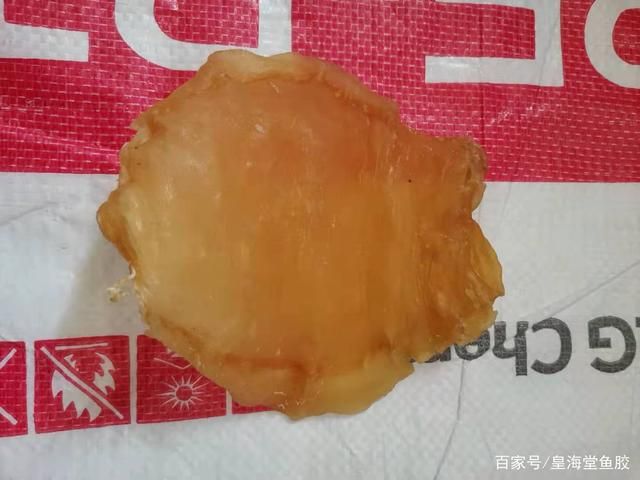 大金龙鱼胶，黄花筒鱼胶，大口赤嘴鱼胶哪种更好：大口赤嘴鱼胶哪种更好大口赤嘴鱼胶哪种更好 龙鱼百科 第1张