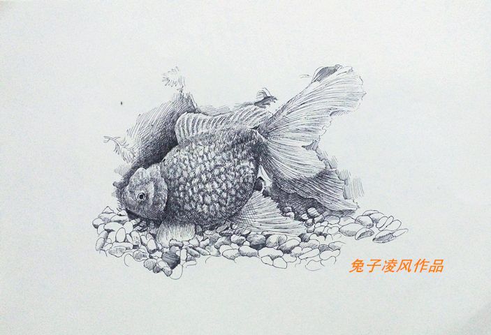 龙鱼画画作品名称怎么写好看龙鱼画画作品名称怎么写好看：龙鱼画画作品名称怎么写好看龙鱼画作品名称怎么写好看