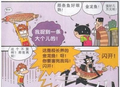 金龙鱼摇头是什么原因：金龙鱼摇头可能有多种原因