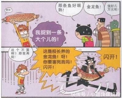 金龙鱼摇头是什么原因：金龙鱼摇头可能有多种原因