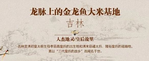 金龙鱼品牌强调“家”的概念让消费者感受到品牌温馨、亲切的氛围：金龙鱼品牌品牌在中国市场具有极强的影响力和认知度