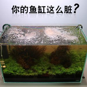 龙鱼鱼缸长青苔怎么处理龙鱼鱼缸中的青苔怎么处理：如何处理龙鱼鱼缸中青苔 龙鱼百科 第2张