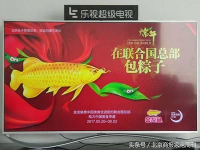 金龙鱼的饮食主要包括小鱼小虾、昆虫类和虫类的食物：金龙鱼吃什么 龙鱼百科 第2张