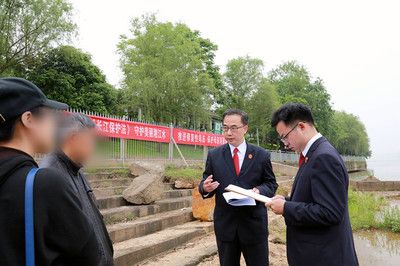 龙鱼苗批发价格：10cm龙鱼苗价格10cm龙鱼苗价格10cm龙鱼苗多少钱一条 龙鱼百科 第3张