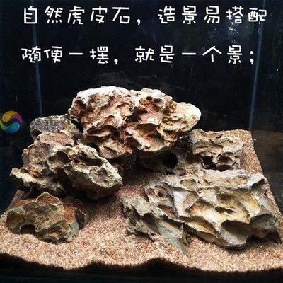 虎皮鱼缸造景的艺术与技巧虎皮鱼缸造景的艺术与技巧：虎皮鱼缸造景技巧