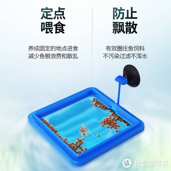 虎门水族馆探秘虎门水族馆探秘虎门鱼缸定制的艺术：东莞市虎门慕华五金配件 虎鱼百科 第2张