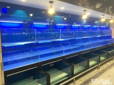 虎门水族文化探秘虎门水族文化探秘虎门水族文化探秘：虎门地区几个可能售卖的鱼缸