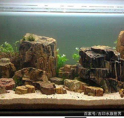 水族箱石材的选择和养护：水族箱石材的选择