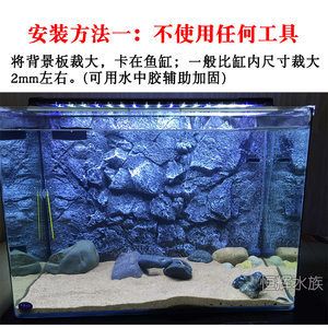 虎鱼色彩的秘密你知道吗？：色彩心理学选择虎鱼缸背景选择3d仿真背景板美观且逼真