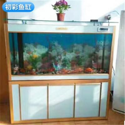 虎门鱼缸定制的艺术：虎门水族用品市场 虎鱼百科 第2张