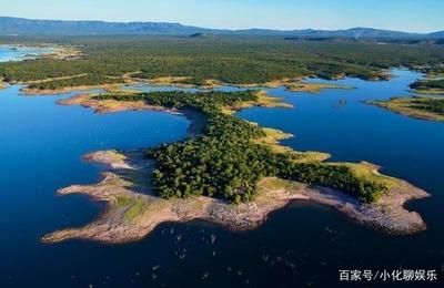 非洲虎鱼的生活习性：非洲虎鱼在全球贸易现状非洲虎鱼的全球贸易现状非洲虎鱼 虎鱼百科 第4张