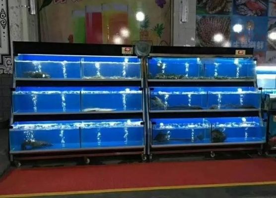 虎门水族文化探秘：虎门地区提供鱼缸销售的实体商店