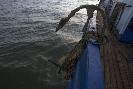 海虎鱼的生活习性：水虎鱼的毒性研究