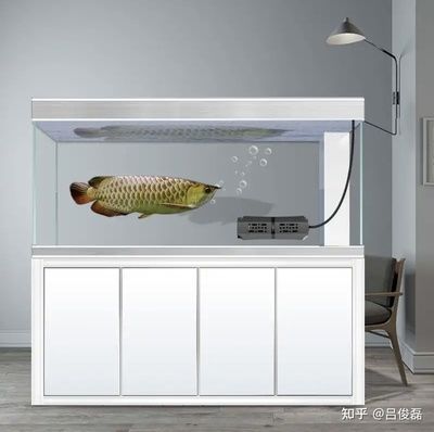 玻璃鱼缸定制鱼缸材质安全选择定制鱼缸材质安全选择：如何选择定制鱼缸？