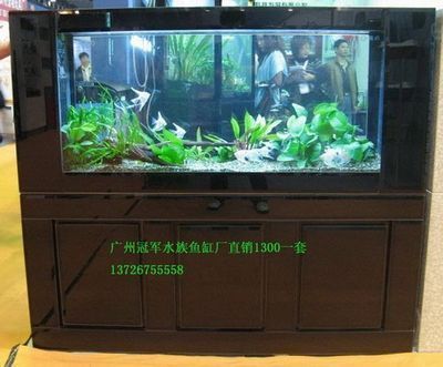 广东鱼缸批发批发市场：广东水族批发市场 鱼缸百科 第4张