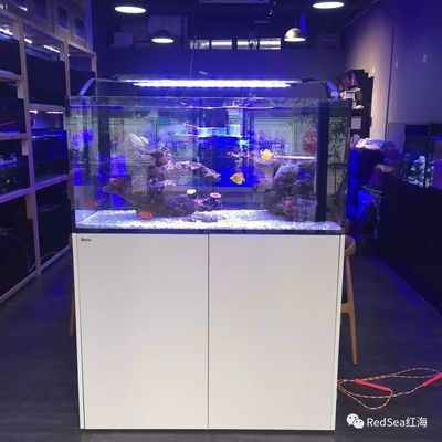 红海鱼缸reefer和max都是以色列高品质珊瑚礁岩系统：红海鱼缸reefer和max各有特色 鱼缸百科 第2张