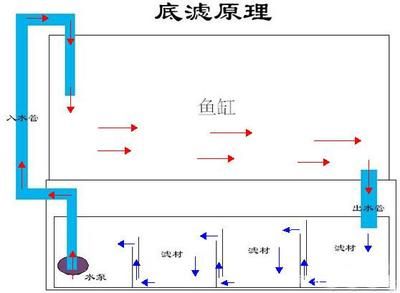 怎样在底滤鱼缸中培养硝化细菌：如何在底滤鱼缸中培养硝化细菌