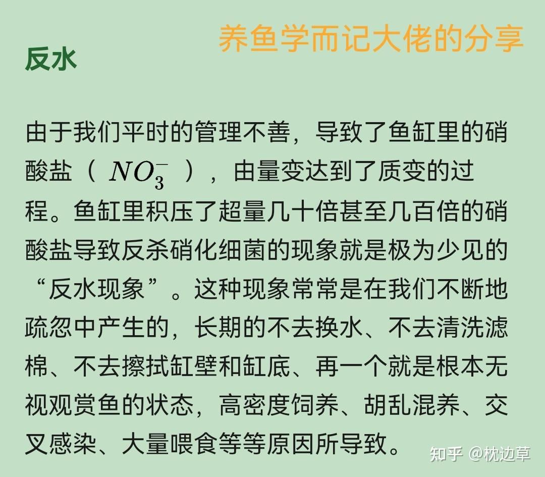 水族馆维护全攻略水族馆维护全攻略水族馆维护全攻略：使用刮刀会导致鱼缸被刮花吗？ 鱼缸百科 第4张