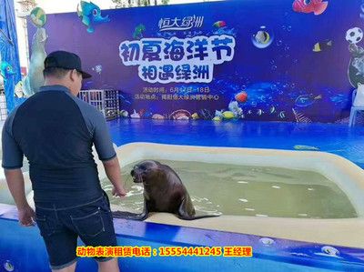 海马鱼缸养殖指南：海马鱼缸养殖步骤和注意事项：海马养殖指南 鱼缸百科 第1张