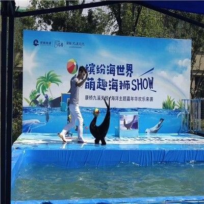 海马鱼缸养殖指南：海马鱼缸养殖步骤和注意事项：海马养殖指南 鱼缸百科 第3张