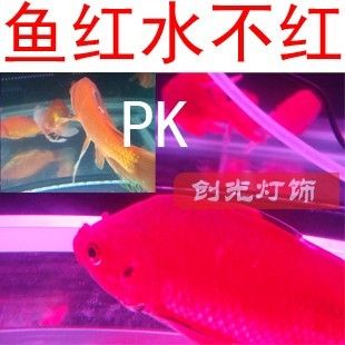 鱼缸安装的技巧与误区：幻彩水族鱼缸安装技巧与误区鱼缸安装技巧与误区