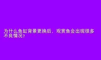 鱼缸背景颜色的选择原则：如何选择鱼缸背景颜色 鱼缸百科 第1张