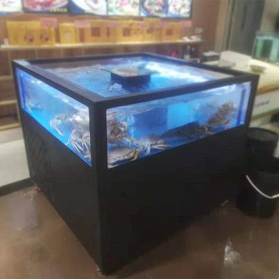 鱼缸定做厂家招工：广州水族文化探索广州水族文化探索广州鱼缸定做厂家招工 鱼缸百科 第4张