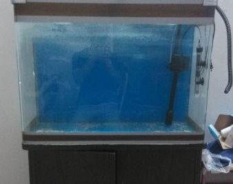 鱼缸定做厂家招工：广州水族文化探索广州水族文化探索广州鱼缸定做厂家招工 鱼缸百科 第1张