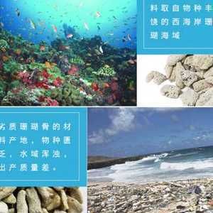 鱼缸定做服务的店铺：水族工程公司水族工程水族馆：在海城提供鱼缸定做服务的店铺