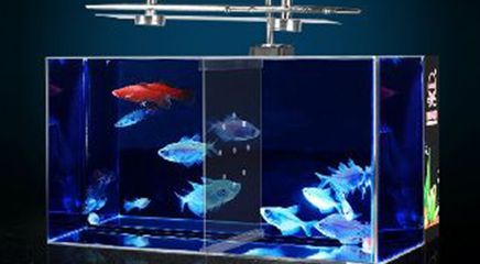 鱼缸定做服务的店铺：水族工程公司水族工程水族馆：在海城提供鱼缸定做服务的店铺