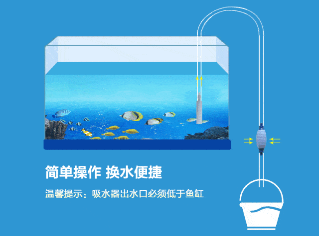虹吸原理在鱼缸中的运用：虹吸原理在鱼缸中应用的详细信息：虹吸原理在鱼缸中的应用