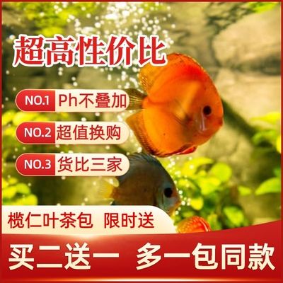 鱼缸水质管理的全面指南：橄榄叶在鱼缸中的使用方法