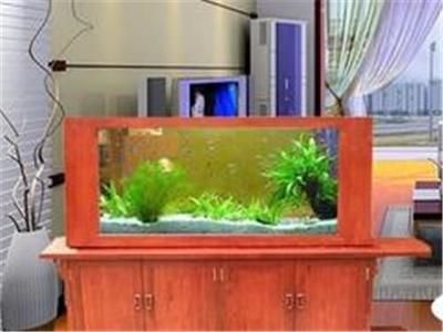 观赏鱼缸领域影响力的加盟品牌：水族器材的发展影响力：如何选择一个合适的水族器材 鱼缸百科 第3张