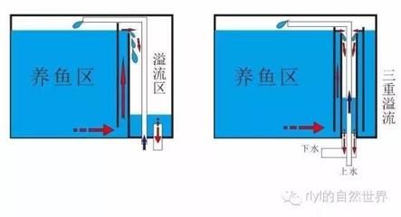 底滤鱼缸的溢流方式有哪些？：底滤鱼缸的故障诊断与维修 鱼缸百科 第1张