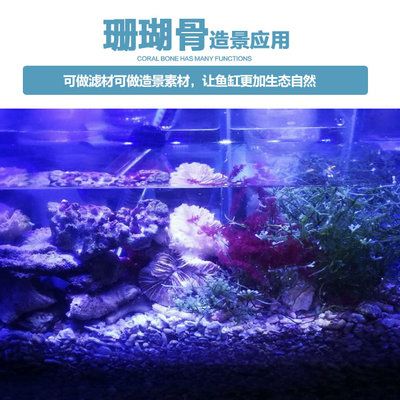 鱼缸造景的技巧与挑战：海沙造景的技巧与挑战 鱼缸百科 第1张